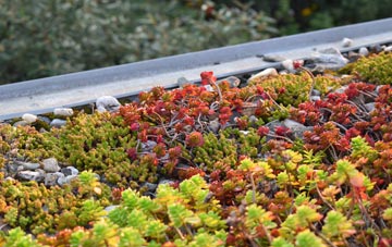 the cost of Pontrilas green roof installation